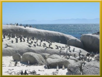 Boulders Beach